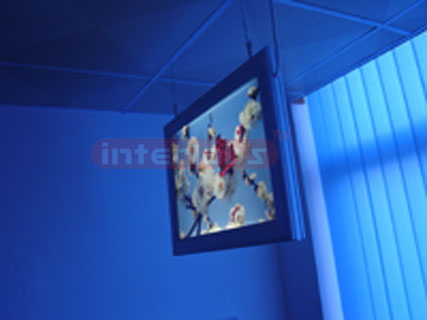 Ultrathin light box